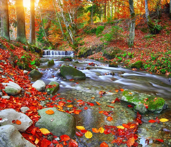 Snelle berg rivier in de herfst — Stockfoto
