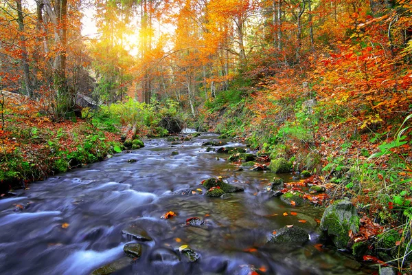 Rio rápido da montanha no outono — Fotografia de Stock