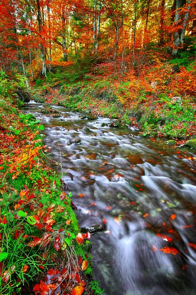 Rapid mountain river in autumn — Stock Photo, Image