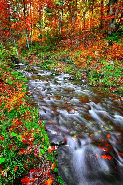 Szybkiego górskiej rzece jesienią — Zdjęcie stockowe