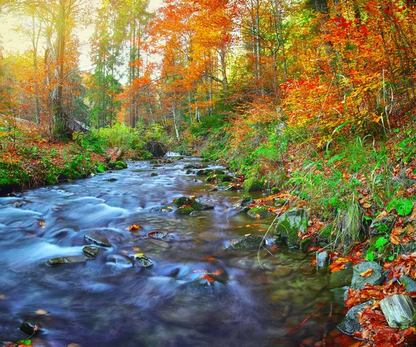 Schneller Gebirgsfluss im Herbst — Stockfoto