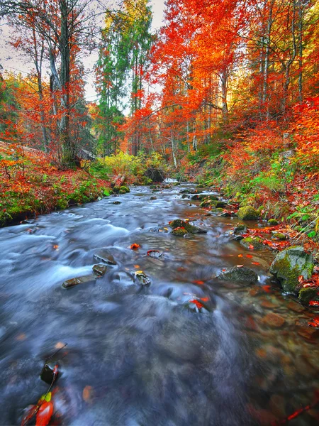 Fiume di montagna rapido in autunno — Foto Stock