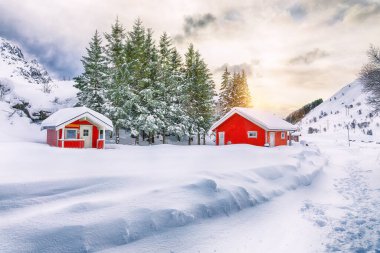 Lofotens Vestvagoy Adası 'ndaki Rolvsfjord sahilinde geleneksel Norveç kırmızı ahşap evleri olan dramatik kış manzarası. Konum: Vestvagoy, Rolvsfjord, Lofotens, Norveç, Avrupa.