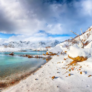 Küçük bir balıkçı köyünde çok kar ve Valberg yakınlarındaki karlı dağ zirveleriyle nefes kesici kış manzarası. Konum: Valberg, Vestvagoy, Lofotens, Norveç