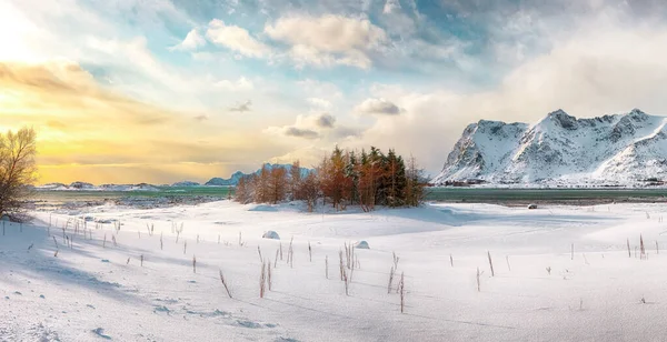 Vinterlandskap Med Frusen Fjord Vestvagoy Vid Solnedgången Med Snöiga Bergstoppar — Stockfoto