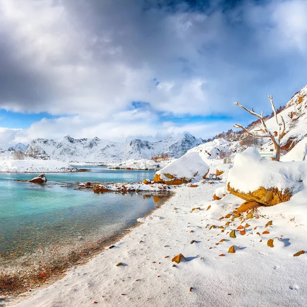Häpnadsväckande Vinterlandskap Med Mycket Snö Liten Fiskeby Och Snöiga Bergstoppar — Stockfoto