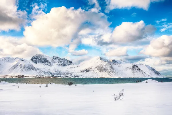 스타드 근처에 눈덮인 산봉우리들이 아름다운 풍경이다 Bostad Vestvagoy Lofotens Norway — 스톡 사진