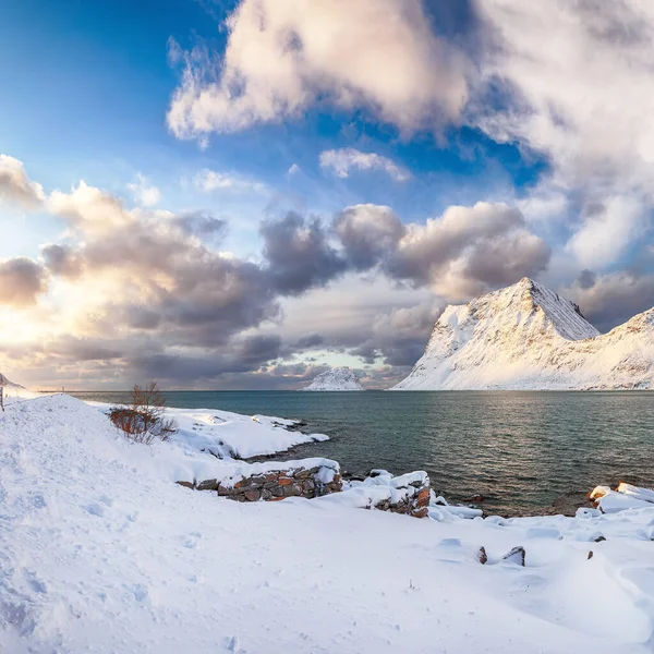 근처에 눈덮인 산봉우리들이 석양이 해변의 Leknes Vestvagoy Lofotens Norway — 스톡 사진