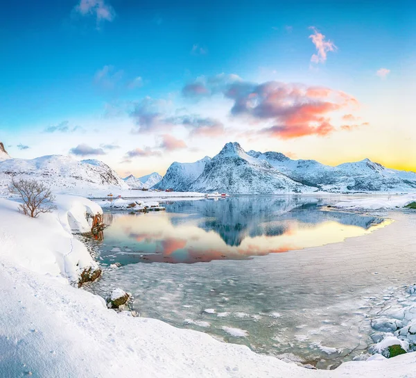 在日出的时候 以胡斯廷登山为背景 神奇地冻结了火花莲和布森峡湾 并在水中反射 Flakstadoya Island Lofoten Norway Europe — 图库照片