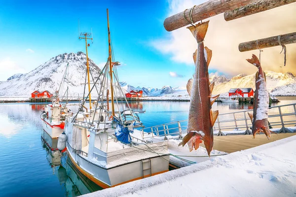 日出时迷人的Ramberg小渔村晨景 在Lofotens的旅游目的地 Ramberg Flakstadoya Island Lofoten Norway Europe — 图库照片