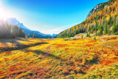 Ulusal Park Tre Cime di Lavaredo 'daki dağlık yolun manzarası. Konum: Ulusal Park Tre Cime di Lavaredo, Dolomiti Alpleri, Güney Tyrol, İtalya, Avrupa.