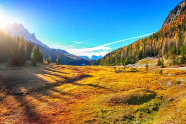 Ulusal Park Tre Cime di Lavaredo 'daki dağlık yolun manzarası. Konum: Ulusal Park Tre Cime di Lavaredo, Dolomiti Alpleri, Güney Tyrol, İtalya, Avrupa.