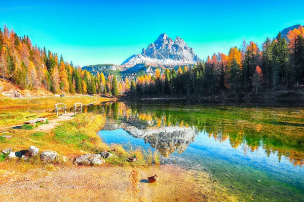Atemberaubender Blick Auf Das Beliebte Reiseziel Bergsee Antorno Herbst Ort — Stockfoto