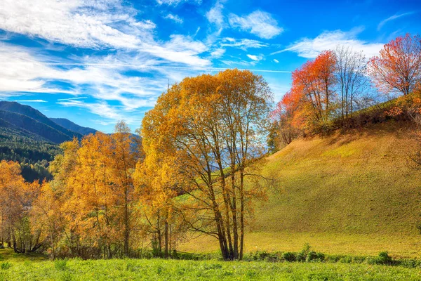 Colorida Escena Otoñal Santa Magdalena Famosa Italia Dolomitas Vista Del — Foto de Stock