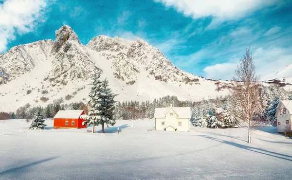 Impresionantes Paisajes Invierno Con Casas Tradicionales Madera Noruega Pinos Cerca — Foto de Stock