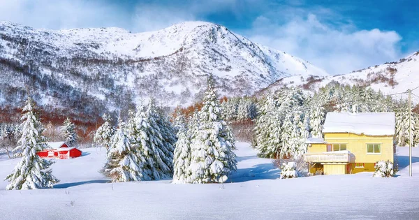 Hermoso Paisaje Invierno Con Casas Tradicionales Madera Noruega Pinos Cerca — Foto de Stock