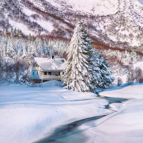 Paysage Hivernal Étonnant Avec Rivière Gelée Avec Maisons Bois Pins — Photo