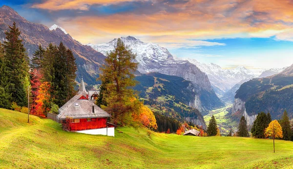 Scenic Autumn View Picturesque Alpine Wengen Village Lauterbrunnen Valley Jungfrau — Stock Photo, Image