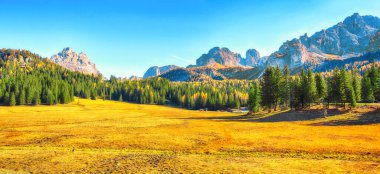 Ulusal Park Tre Cime di Lavaredo 'daki çayır manzarası. Konum: Ulusal Park Tre Cime di Lavaredo, Dolomiti Alpleri, Güney Tyrol, İtalya, Avrupa.