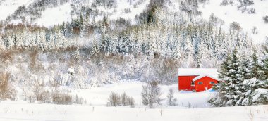 Geleneksel Norveç ahşap evleri ve Lofotens Valberg köyü yakınlarındaki çam ağaçları ile şaşırtıcı kış manzarası. Konum: Valberg, Lofotens, Norveç, Avrupa