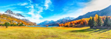 İsviçre Alpleri 'ndeki büyüleyici sonbahar sahnesi ve Sils Lake (Silsersee) manzarası. İsviçre Alpleri 'nin renkli sonbahar sahnesi. Konum: Maloya, Engadine bölgesi, Grisons kantonu, İsviçre, Avrupa.
