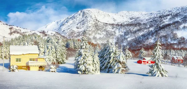 Hermoso Paisaje Invierno Con Casas Tradicionales Madera Noruega Pinos Cerca — Foto de Stock