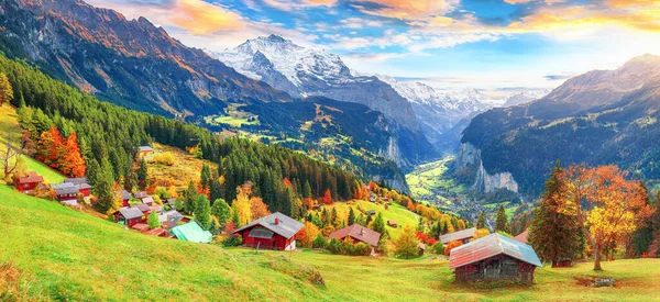 Vue Panoramique Automne Sur Pittoresque Village Alpin Wengen Vallée Lauterbrunnen — Photo