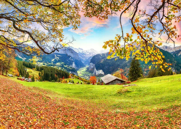Fabulosa Vista Outono Pitoresca Vila Wengen Alpina Lauterbrunnen Valley Com — Fotografia de Stock