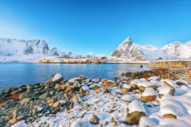 Arka planda Sakrisoy köyü ve karlı dağların muhteşem kış manzarası. Lofotens 'ta popüler bir turizm merkezi. Konum: Sakrisoy, Moskenesoya, Lofoten; Norveç, Avrupa