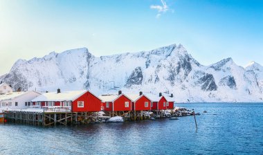 Hamnoy köyü yakınlarındaki Reinefjorden kıyısında geleneksel Norveç kırmızı ahşap evleri (rorbuer). Konum: Hamnoy, Lofoten; Norveç, Avrupa