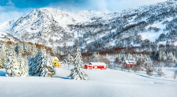 Fabuloso Paisaje Invernal Con Casas Tradicionales Madera Noruega Pinos Cerca — Foto de Stock