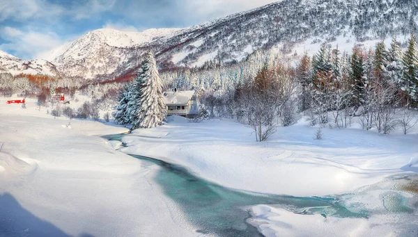 Superbe Paysage Hivernal Avec Rivière Gelée Avec Maisons Bois Pins — Photo