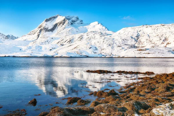 Hervorragender Winterblick Auf Die Meerenge Von Sundstraumen Die Die Inseln — Stockfoto