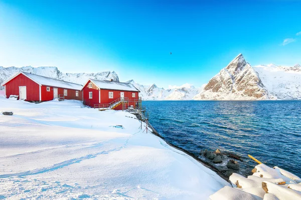 托普波亚岛上Reinefjorden海岸上传统的挪威红木房子 背景为Olstinden峰和雪山 Toppoya Island Lofoten Norway Europe — 图库照片