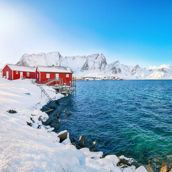 托普皮亚岛Reinefjorden海岸上传统的挪威红木房子 背景为雪山 Toppoya Island Lofoten Norway Europe — 图库照片