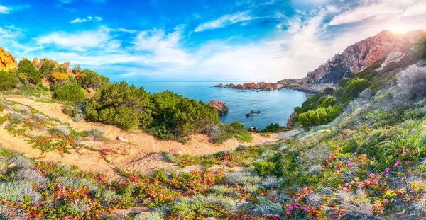 对受欢迎的旅游目的地科斯塔帕拉迪索的奇观 地中海风景如画的陆地景观 Costa Paradiso Province Sassari Sardinia Italy Europe — 图库照片