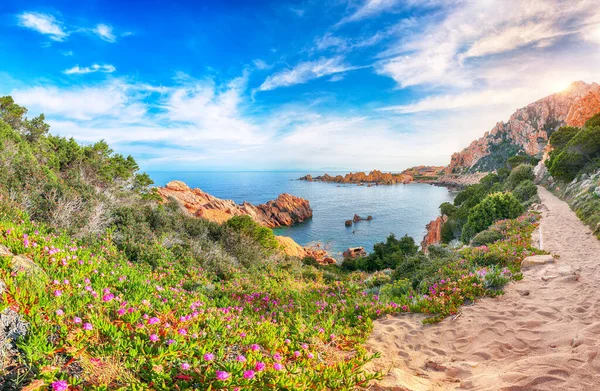 Herrliche Aussicht Auf Das Beliebte Reiseziel Costa Paradiso Malerische Landschaft — Stockfoto