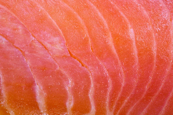 Fatia de salmão fullscreen — Fotografia de Stock