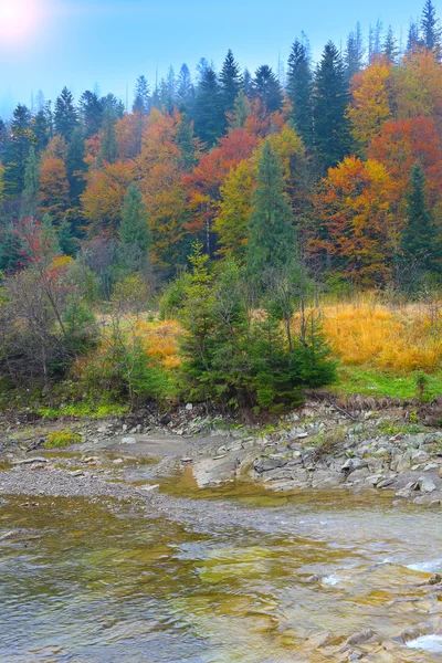 River in autumn forest — Stock Photo, Image