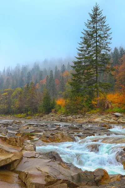 秋のロッキー山脈川 — ストック写真