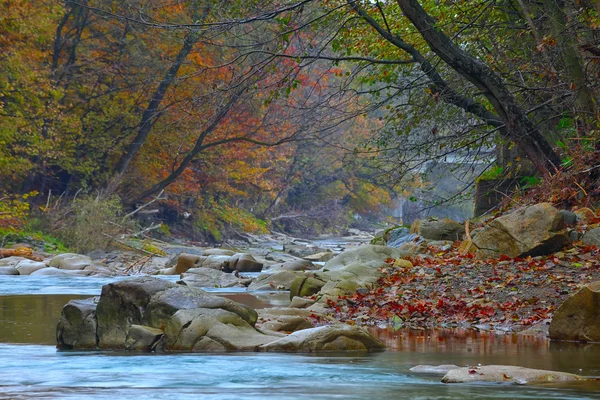 Rivière de montagne à l'automne — Photo