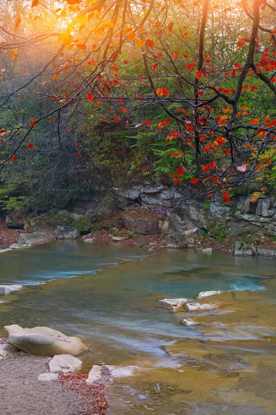 Sonbahar günbatımı, dağ dere — Stok fotoğraf