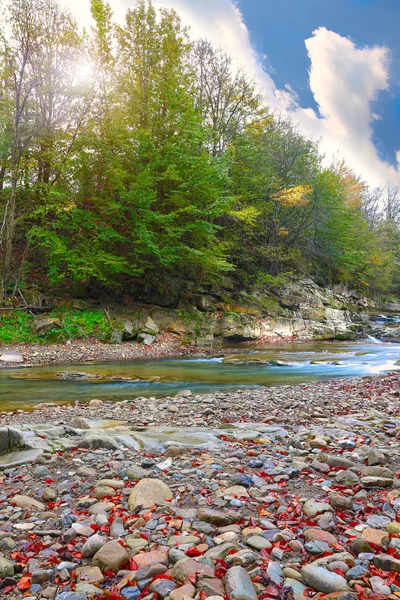 Río de montaña en otoño —  Fotos de Stock