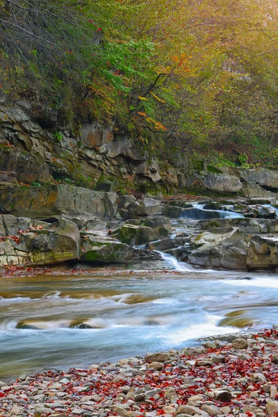 Río de montaña en otoño — Foto de Stock