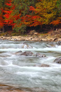 Sonbaharda dağ nehri