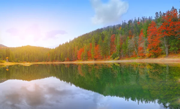 Pittoresco lago nella foresta autunnale — Foto Stock