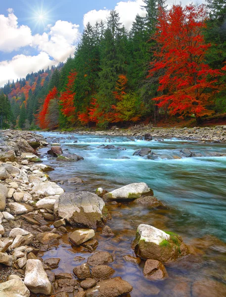 Bergrivier in de herfst — Stockfoto