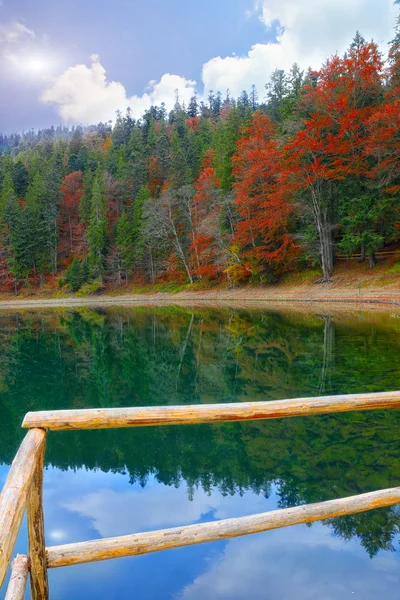 Lago pintoresco en el bosque de otoño — Foto de Stock