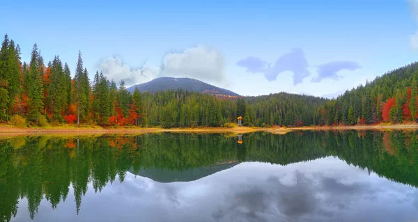 Lago pitoresco na floresta de outono — Fotografia de Stock