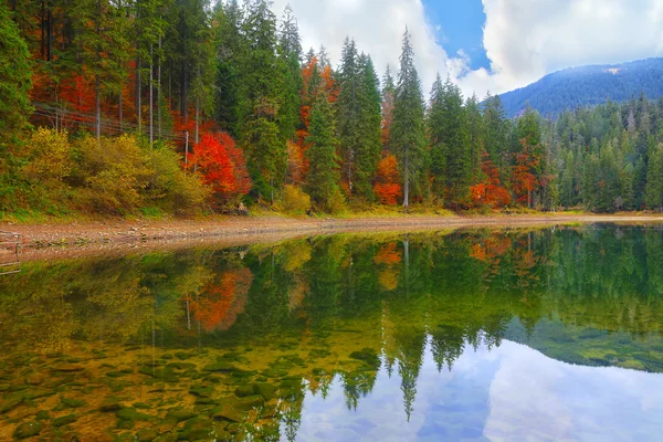 Pittoresco lago nella foresta autunnale — Foto Stock